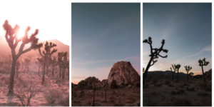 A Perfect Weekend: Adventure and Serenity in Joshua Tree