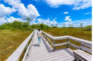 Everglades National Park