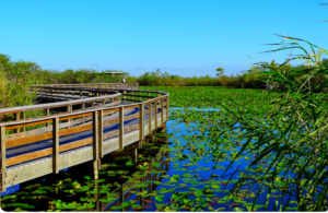 Everglades National Park